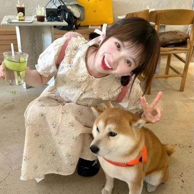 天使的战争